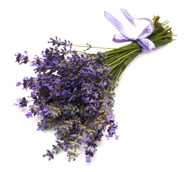 Ramo de flores de lavanda —  Fotos de Stock