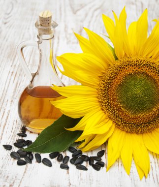 ayçiçeği tohumu ve petrol