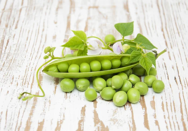 新鮮な庭のエンドウ豆 — ストック写真