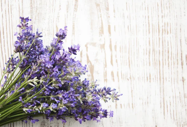 Lavanda — Fotografia de Stock