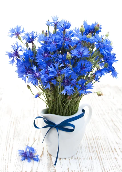 Korenbloemen — Stockfoto