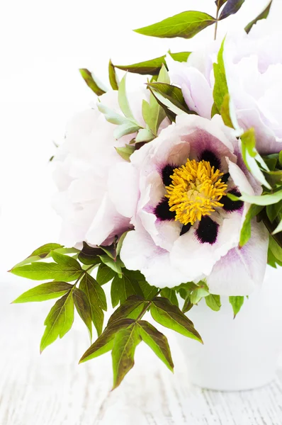 Flor de peonía con hojas verdes — Foto de Stock