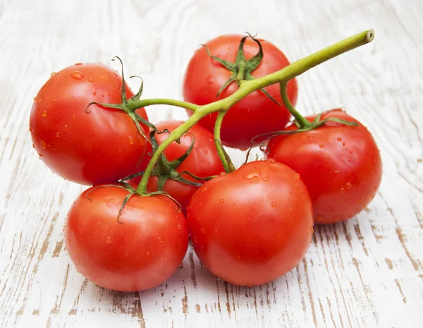 Tomates — Foto de Stock