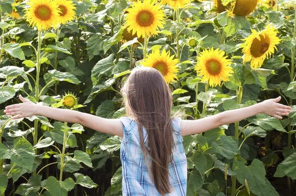 Krásné dítě s slunečnice — Stock fotografie