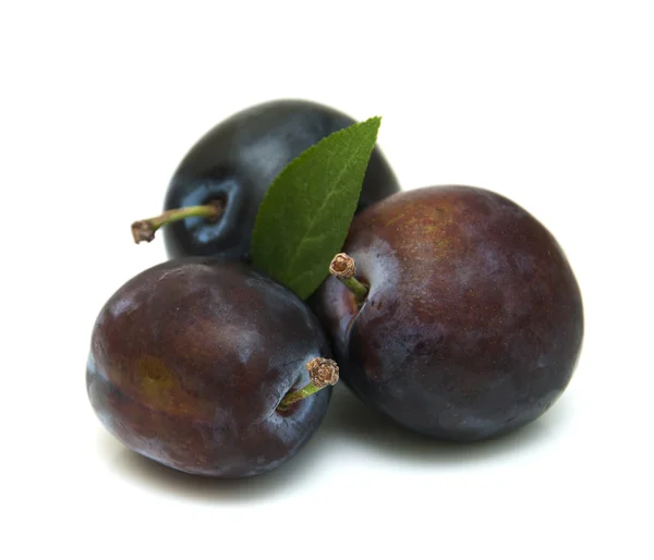 Fresh purple plums — Stock Photo, Image
