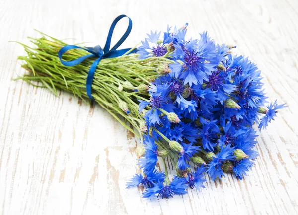 Cornflowers — 스톡 사진