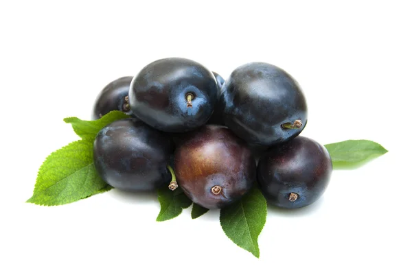 Fresh purple plums — Stock Photo, Image