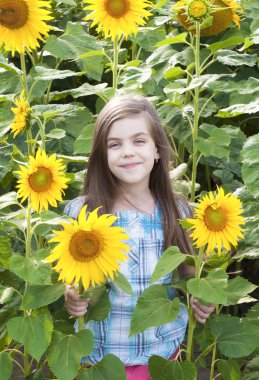 Ayçiçeği ile güzel çocuk