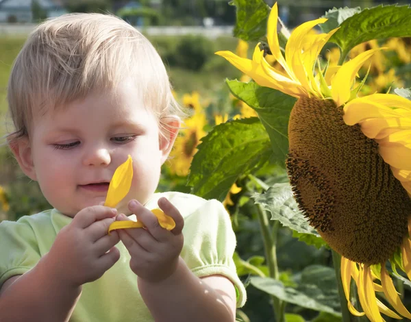 女婴和向日葵 — 图库照片