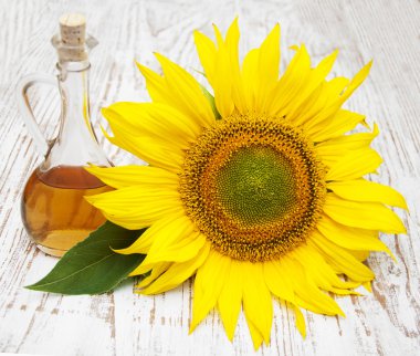 Ayçiçeği ve petrol