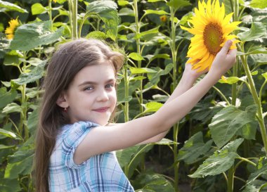 Ayçiçeği ile güzel çocuk