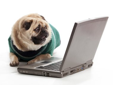 technologie pug
