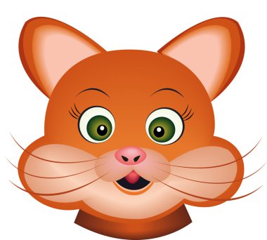 Bir Kedinin Görüntüsü