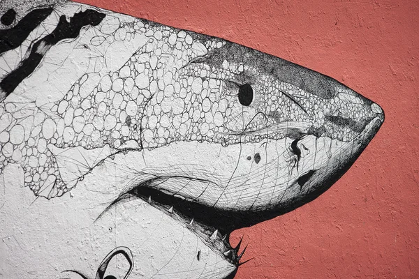 Seni dinding hiu — Stok Foto