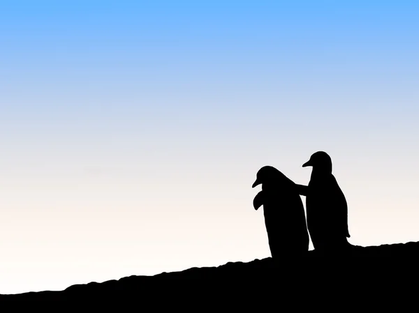 Silhouette von Pinguinen — Stockfoto