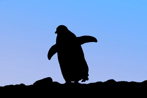 Силуэт пингвина Стоковое Фото