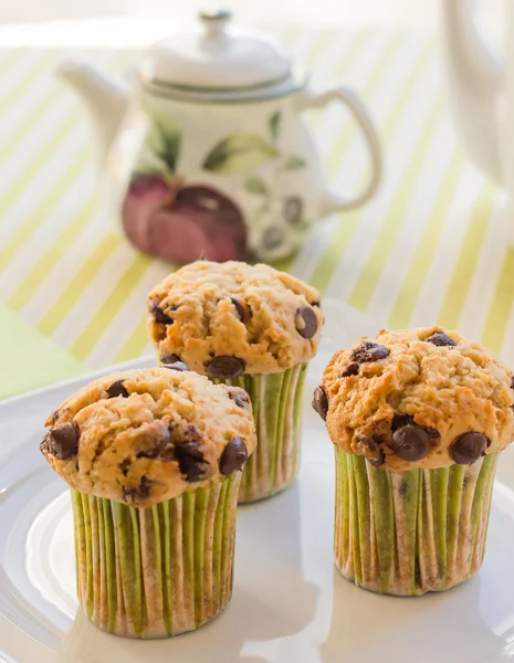 Chocolate chip muffins on white plate and green striped tableclo — Stock Photo, Image