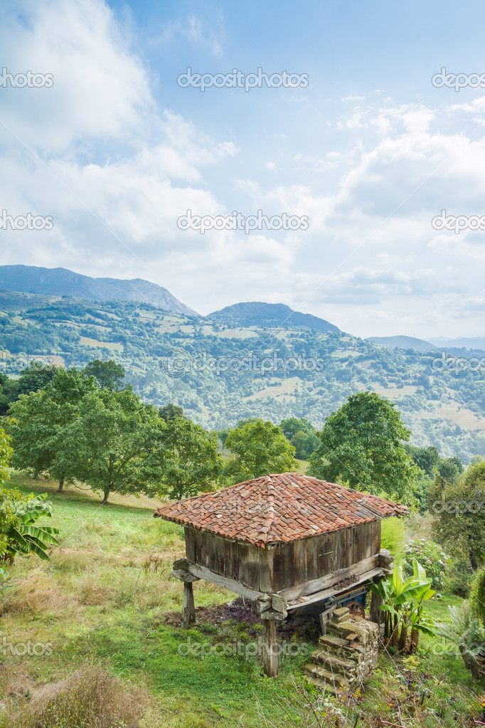 Granary of Asturias raised by pillars and known as 