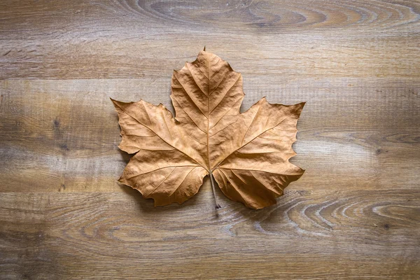 Hoja de otoño en un fondo de madera — Foto de Stock