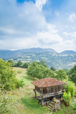 sütunlar tarafından geçirilen asturias, tahıl ambarı