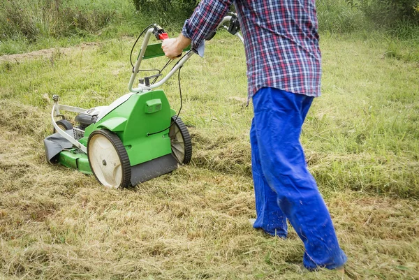 Young man mowing the lawn with a lawnmower — Stock Photo, Image