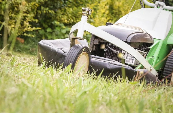 Lawnmower in the garden cutting lawn — Stock Photo, Image