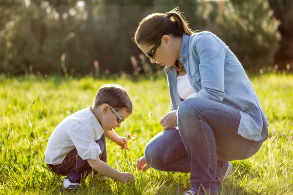 Madre e figlio raccogliere fiori in un campo — Foto Stock