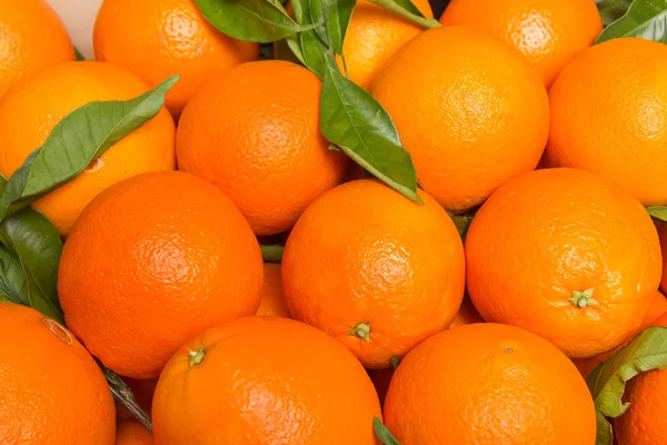 Tasty valencian oranges freshly collected — Stock Photo, Image