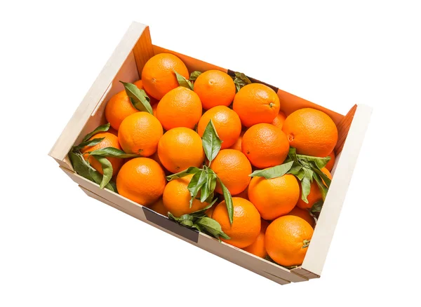Деревянная коробка валенсийских апельсинов на белом фоне — стоковое фото