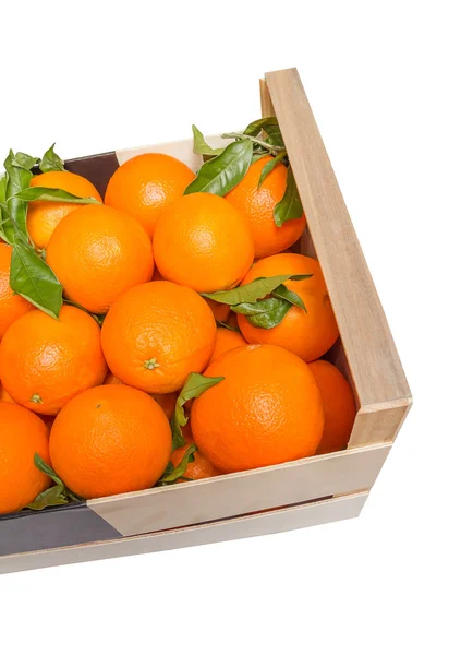 Caja de madera de naranjas valencianas sobre fondo blanco — Foto de Stock