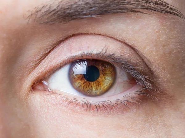 Closeup of female natural brown eye without makeup