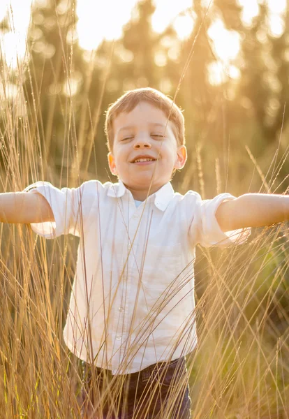 Малюк у полі грає зі шпильками на літньому заході сонця — стокове фото