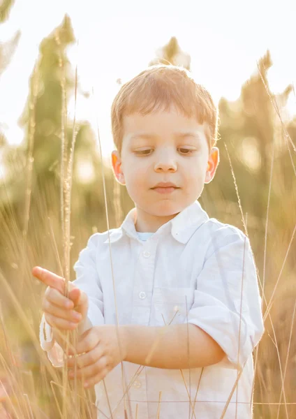 Ragazzo in campo che gioca con picchi al tramonto estivo — Foto Stock