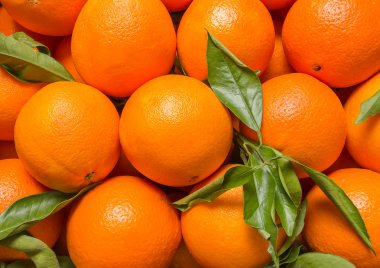 lezzetli Valensiya portakal taze toplanan
