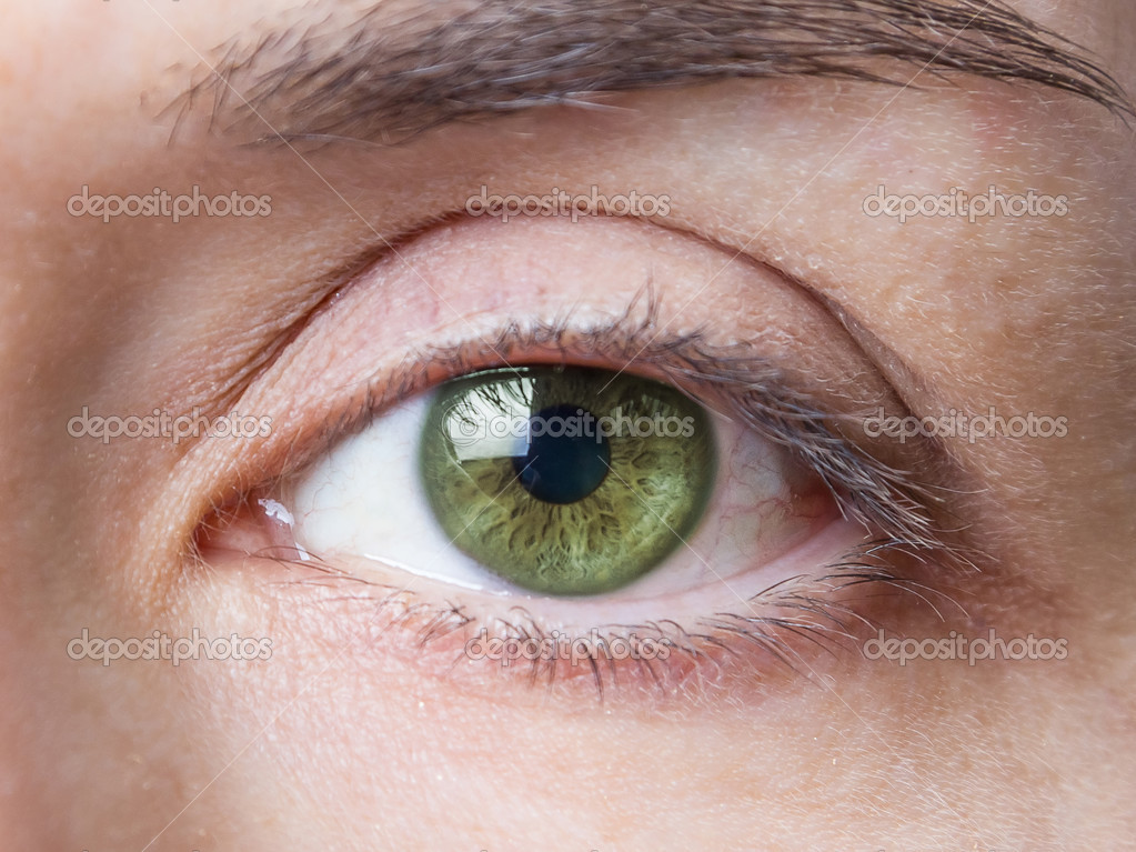 Closeup Of Female Natural Green Eye Without Makeup Stock Photo