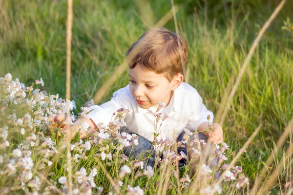 Happy cute kid picking flowers in a field — Stock Photo, Image