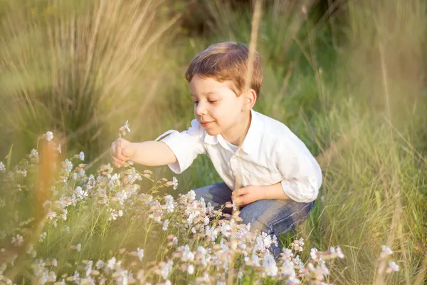 Feliz lindo niño recogiendo flores en un campo — Foto de Stock