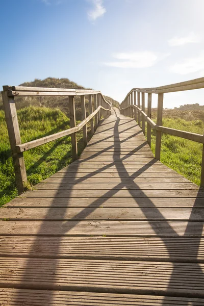 Wood boardwalk in sunny day on fields background — Stock Photo, Image