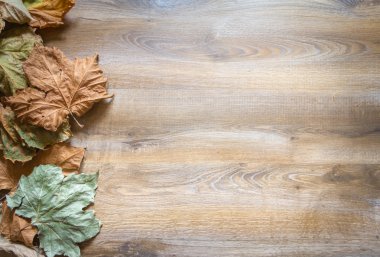 sonbahar yaprakları arka plan