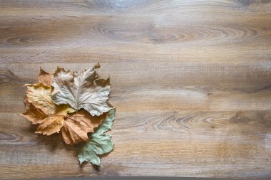 sonbahar yaprakları arka plan