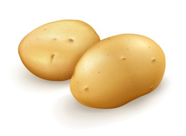 patates, vektör