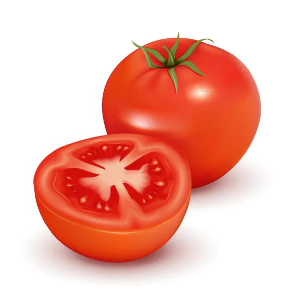 Tomato, vector — Stock Vector