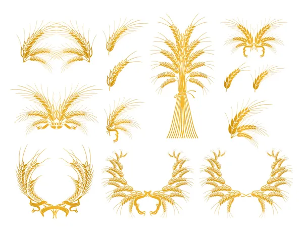 Set of Design Elements with Wheat, vector — Stock Vector
