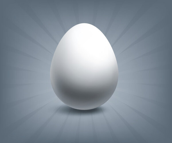 Egg illustration