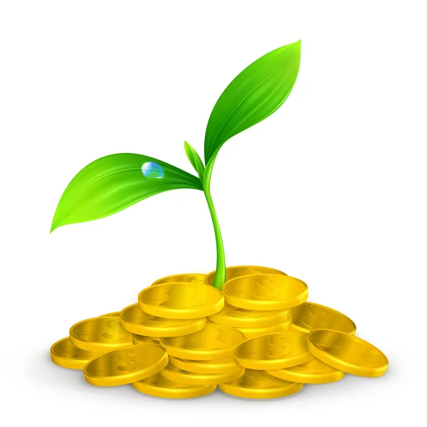 Planta e moedas, 10eps — Vetor de Stock