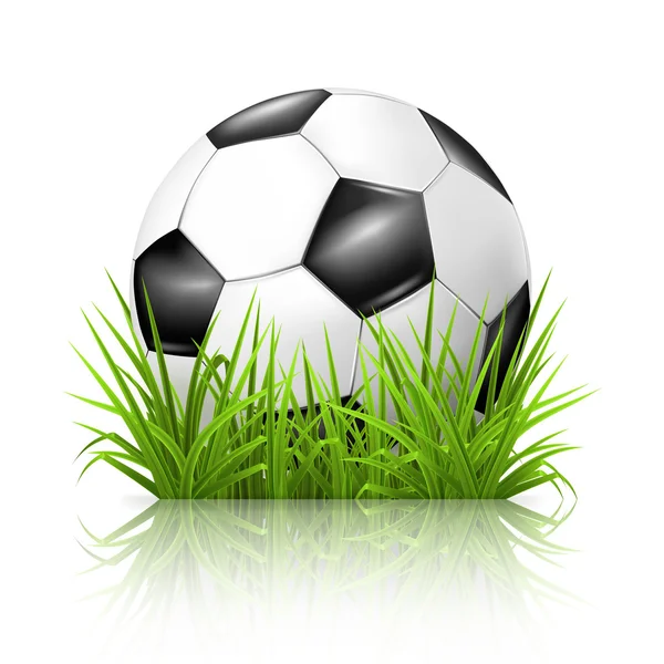 Soccer ball on grass, 10eps — Stock Vector