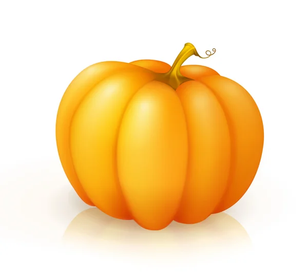 Pumpkin, vector — Stock Vector