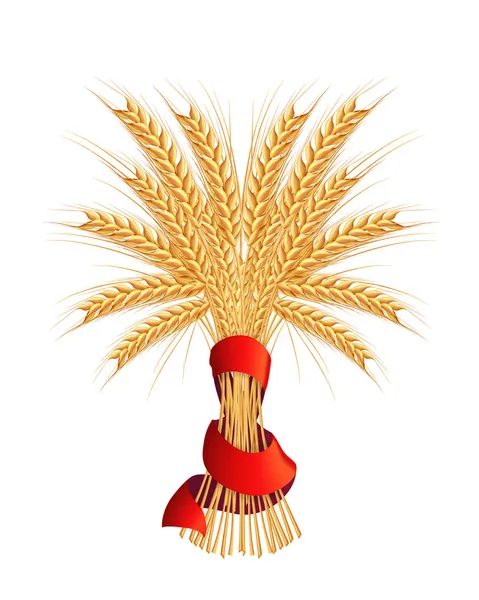 Gaine de blé, vecteur — Image vectorielle