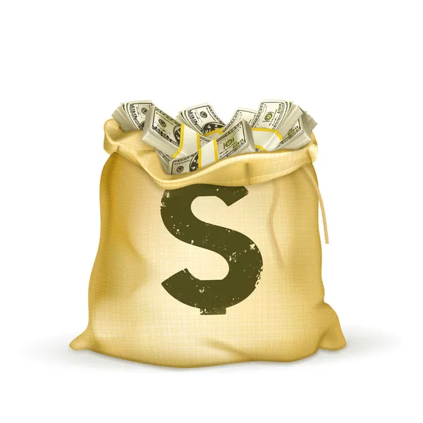 Bolsa de dinero — Vector de stock