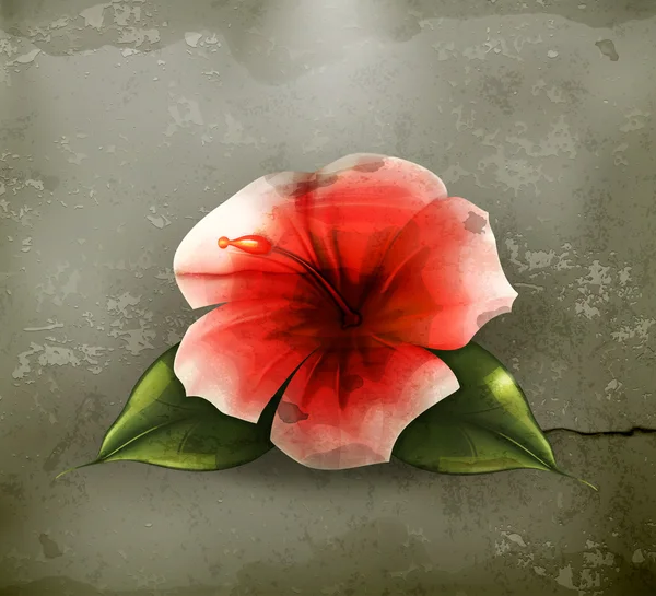 Κόκκινο λουλούδι, διάνυσμα παλαιού τύπου — Διανυσματικό Αρχείο
